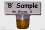 B sample - Mr Warne, S.